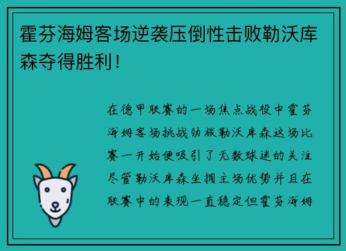 霍芬海姆客场逆袭压倒性击败勒沃库森夺得胜利！
