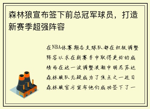 森林狼宣布签下前总冠军球员，打造新赛季超强阵容